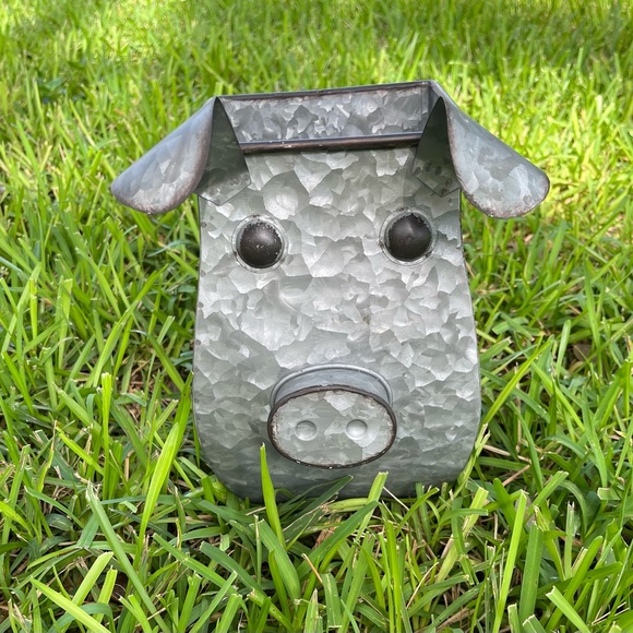 Other - Galvanized pig planter